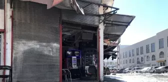 Şanlıurfa, Kahramanmaraş ve Malatya'da sokak hayvanlarına yiyecek bırakıldı