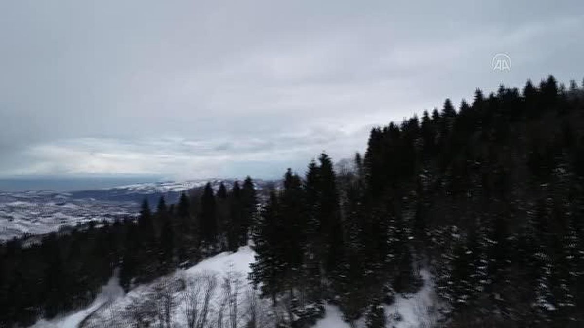 Trabzon'da kar yağışı