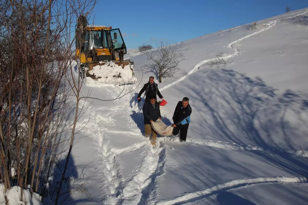 Belediye ekipleri, yolu kapanan mahalledeki tavuklara yem ulaştırdı