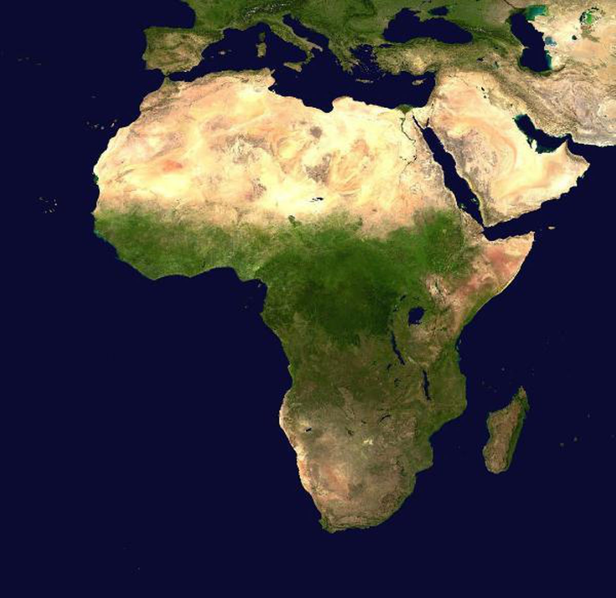 DSÖ: Afrika\'da Omicron çıktığından itibaren vaka sayıları ilk defa düştü