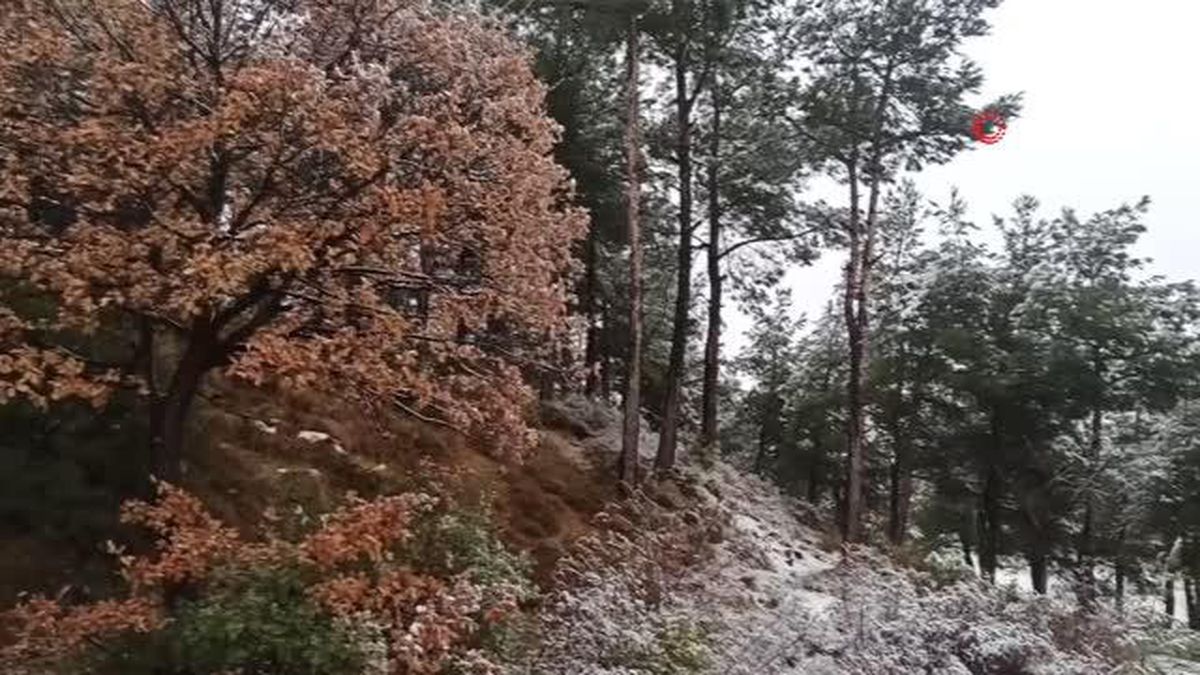 Edirne'de etkili olan kar yağışı çocuklara karne hediyesi oldu