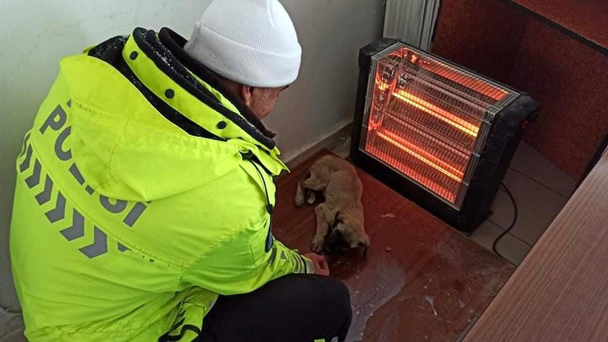 Elazığ\'da donmak üzere olan yavru köpeğe polisler sahip çıktı