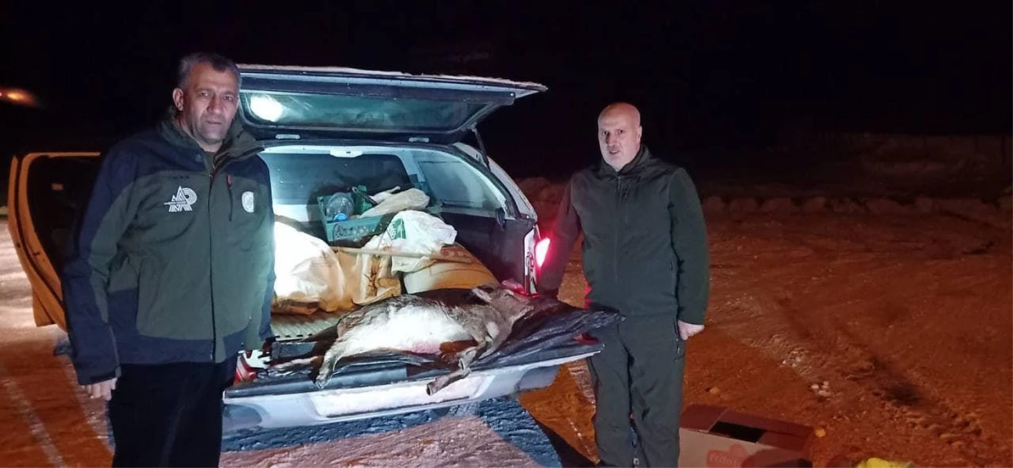 Erzurum\'da yaban keçisi avlayan iki kişiye para cezası kesildi
