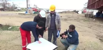 Haber çekimini sabote eden kedi, gülümsetti