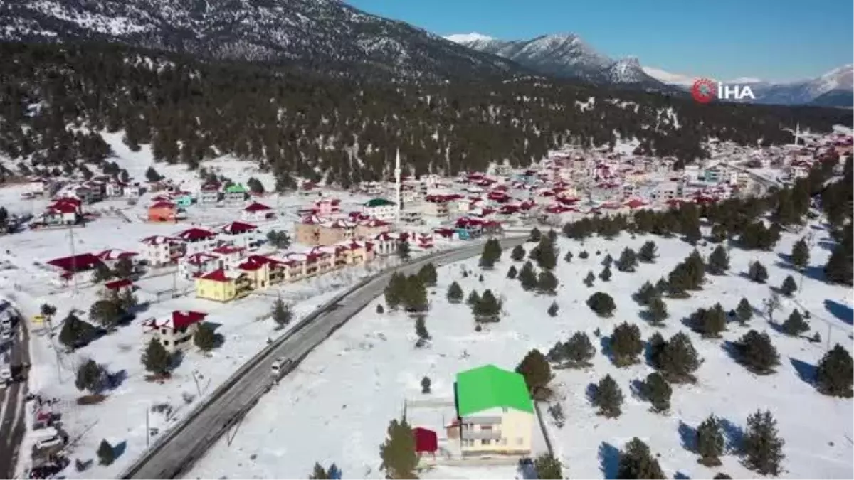 Mersin'de yılkı atları ve köpekler için doğaya yem bırakıldı