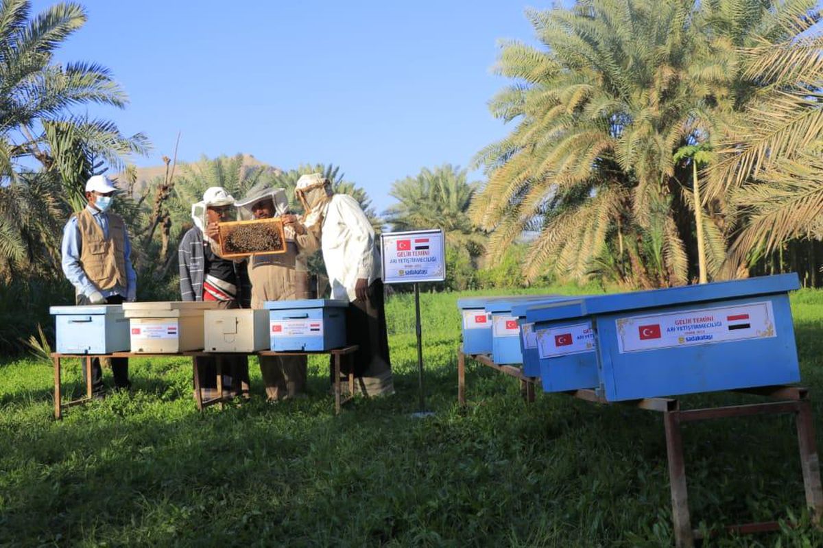 Sadakataşı Derneğinden Yemen\'de mültecilere gelir temini desteği