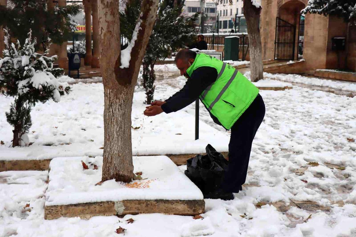 Şanlıurfa\'da sokak hayvanları unutulmadı