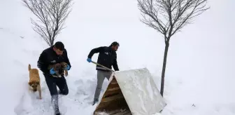 Ekiplerin dikkati yavru köpekleri donmaktan kurtardı