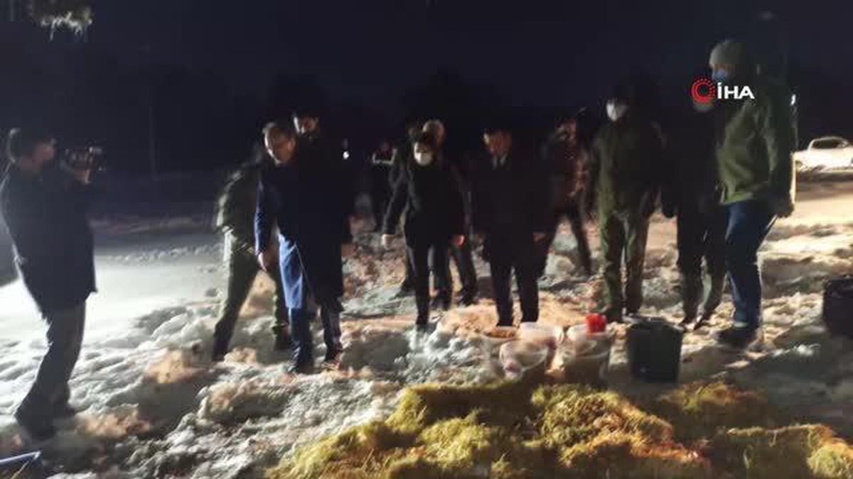 Yaban hayvanlarına protokol üyelerinden yem desteği