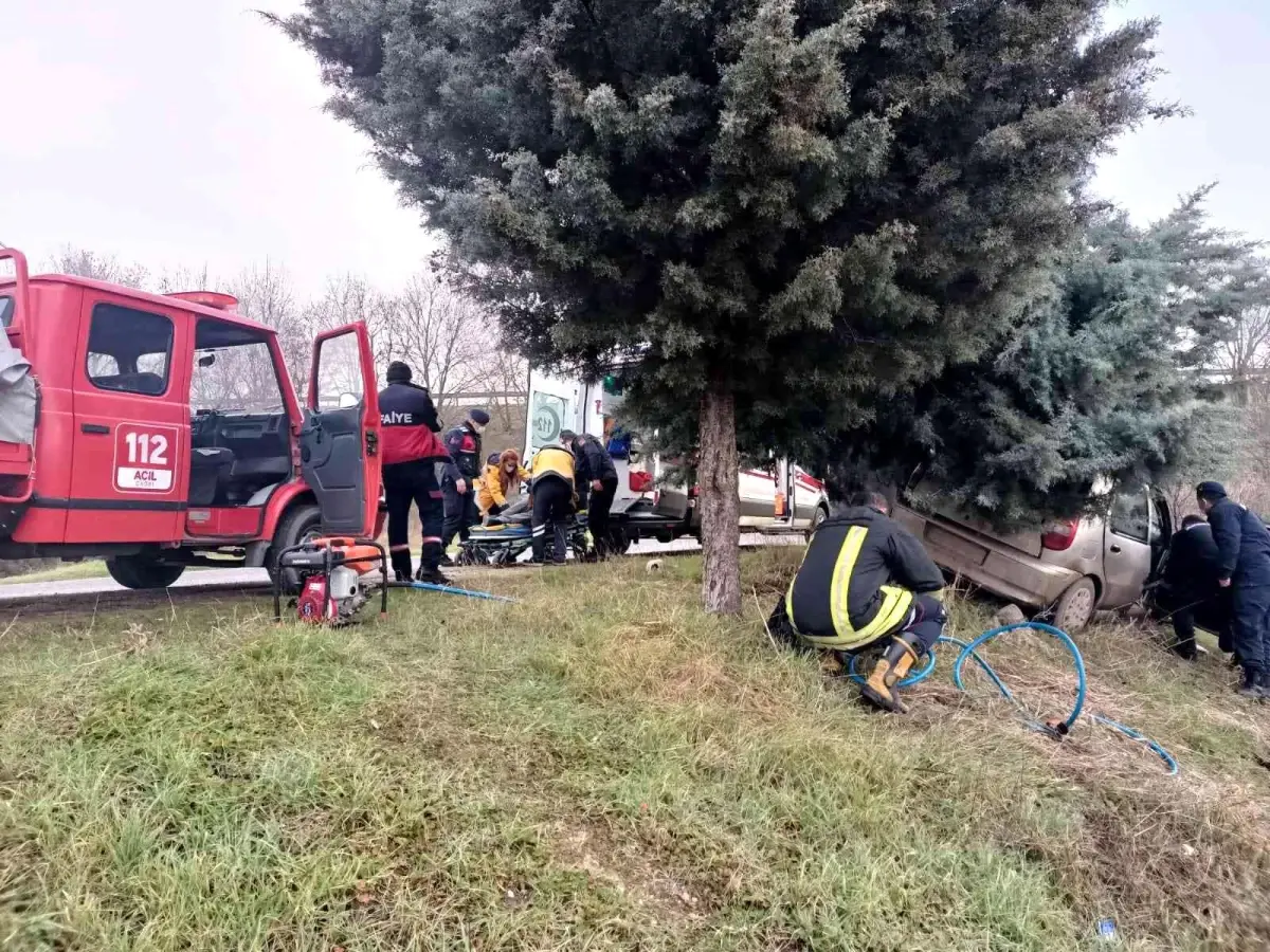 Yoldan çıktı ağaca çarparak durdu