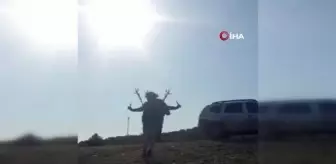 Amanos Dağlarını 'tohum bombası' atarak yeşertiyor