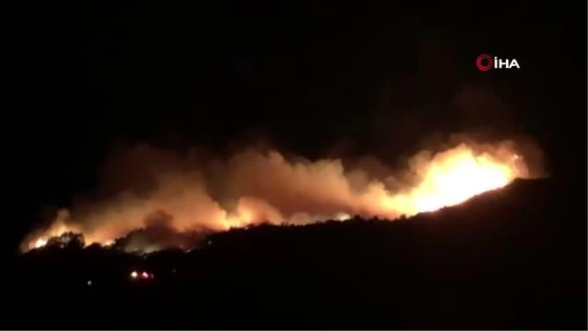 California\'da korkutan orman yangını