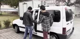 Isparta'da soğuktan donmak üzere olan büyük Ak Balıkçıl kurtarıldı