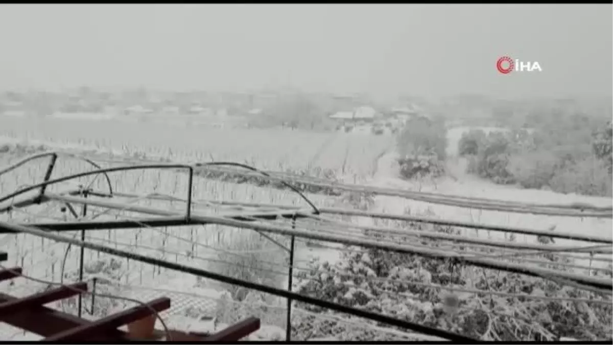 Kar yağdı üreticinin yüzü güldü