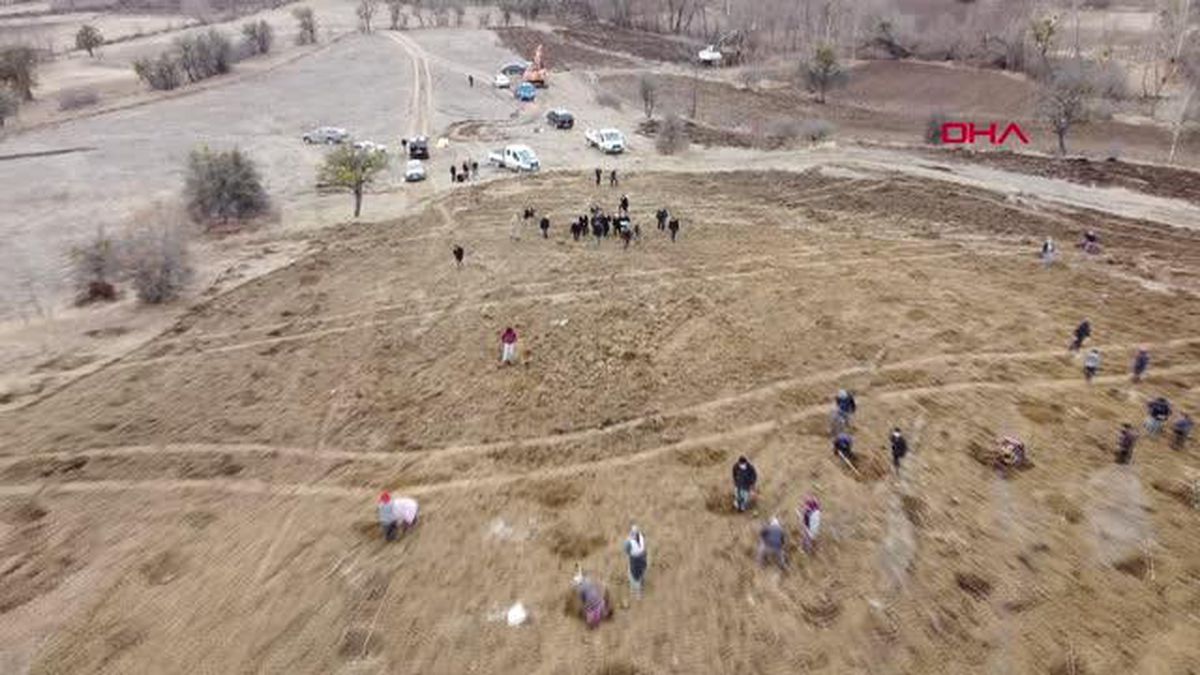 TOKAT'TA 3 YILDA 10 MİLYON MEYVE FİDANI TOPRAKLA BULUŞACAK