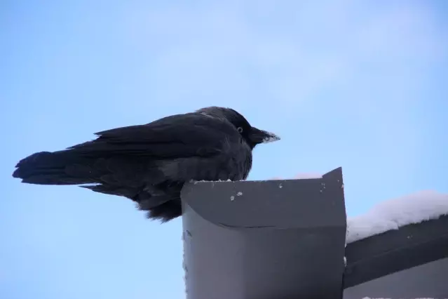 Trakya'da soğuk hava etkili oluyor