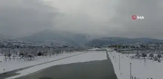 Buz tutan deredeki martıların kar banyosu drone ile görüntülendi