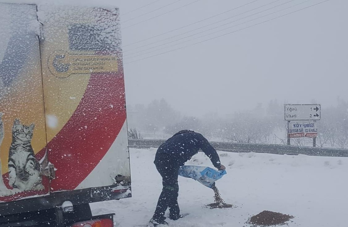 Gaziantep\'te soğuktan etkilenen sokak hayvanlarına yem bırakıldı