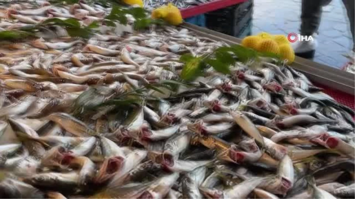 Kar yağdı, balık tezgahları şenlendi