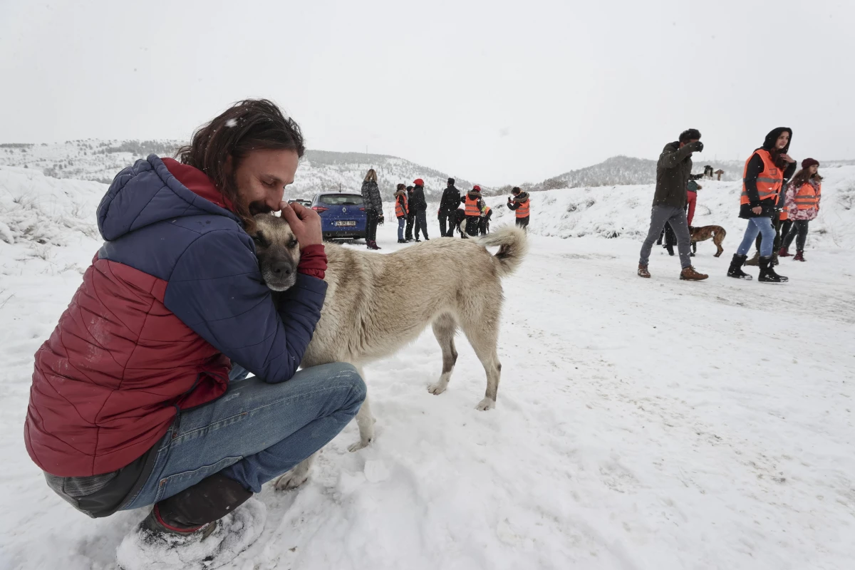 Kış koşullarında yiyecek bulmakta zorlanan sokak hayvanlarının imdadına yetiştiler