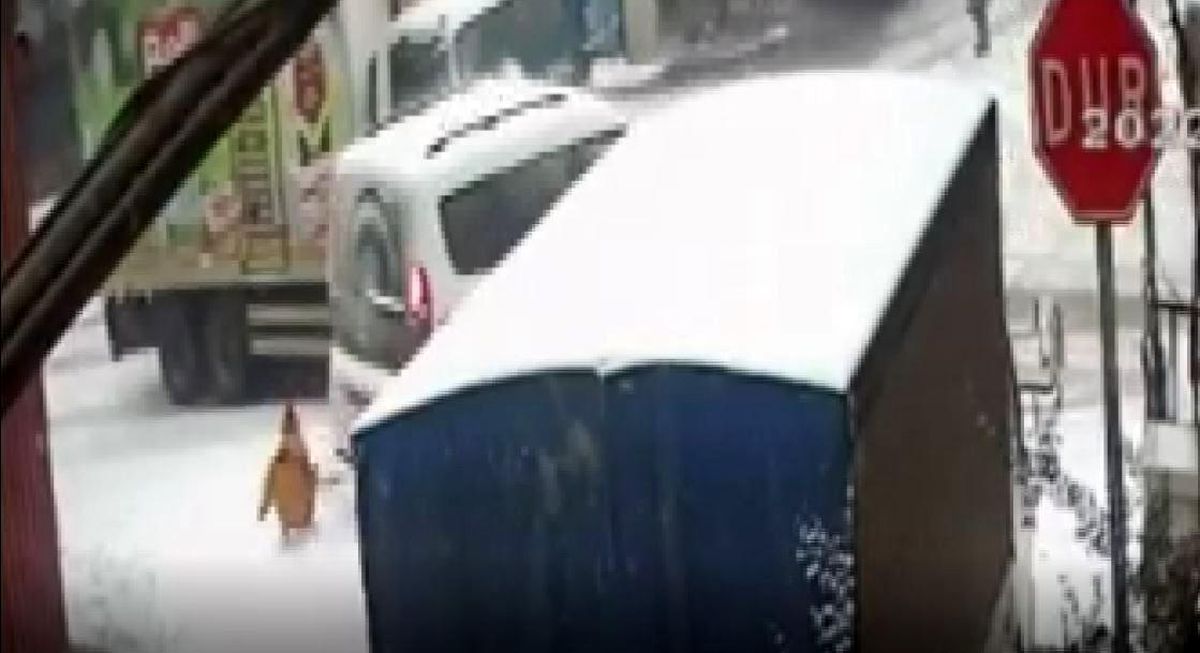 Küçük çocuğun inanılmaz kurtuluşu kamerada