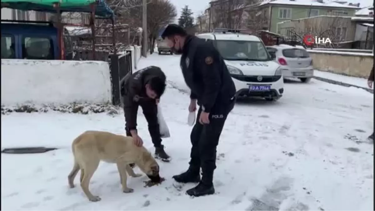 Son dakika haber... Polis hem devriye gezdi hem de sokak hayvanlarını beslediler