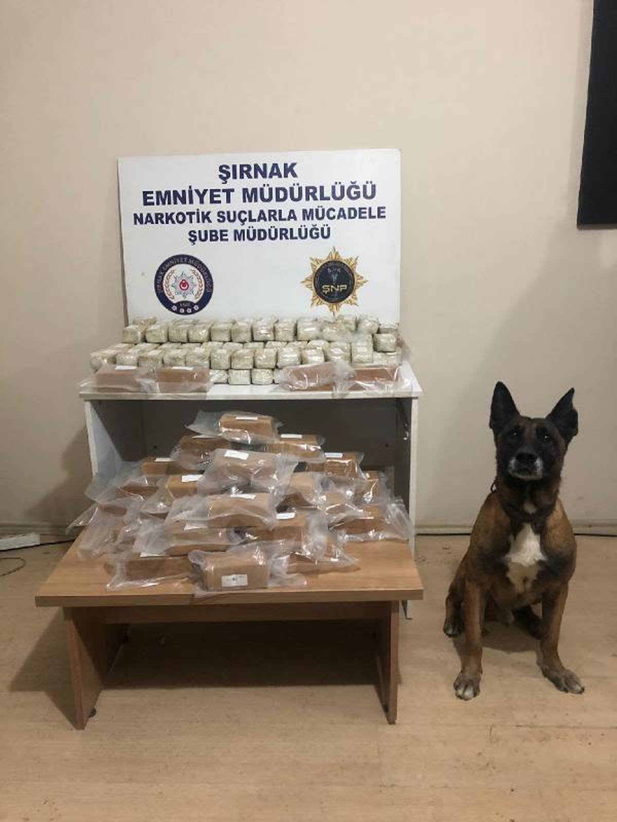Şırnak\'ta, TIR\'ın gizli bölmelerinde 52 kilo 638 gram eroin ele geçirildi