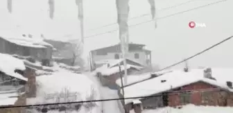 Arıcak kara teslim oldu