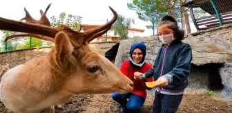 Avrupalı aileler akın akın gelince acı gerçek ortaya çıktıÖzel gereksinimli çocukları olan Avrupalı ailelerin çaresizliğine Türkiye çare oluyorÖzel...
