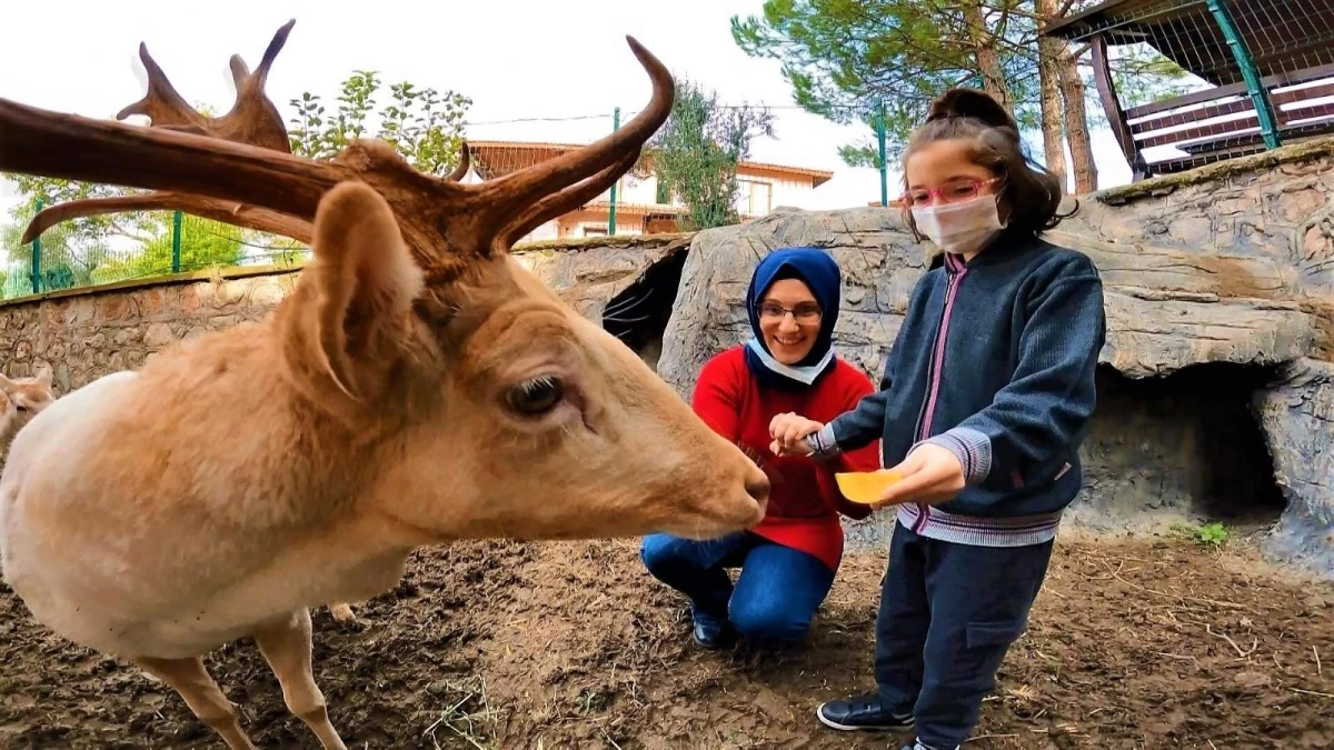 Avrupalı aileler akın akın gelince acı gerçek ortaya çıktıÖzel gereksinimli çocukları olan Avrupalı ailelerin çaresizliğine Türkiye çare oluyorÖzel...