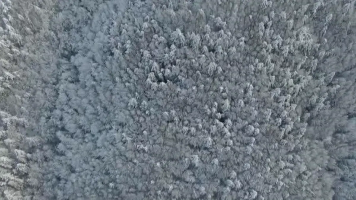 Batı Karadeniz'de kar manzarası havadan görüntülendi