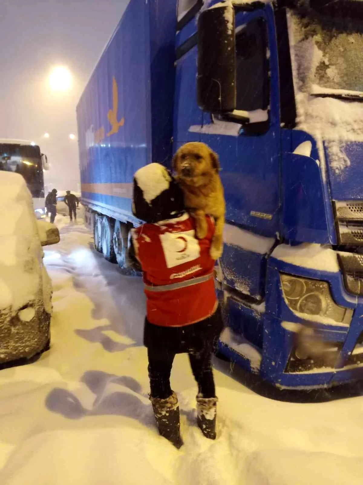 Bolu Dağı\'nda karların arasında kalan köpeği ekipler kucağında taşıdı