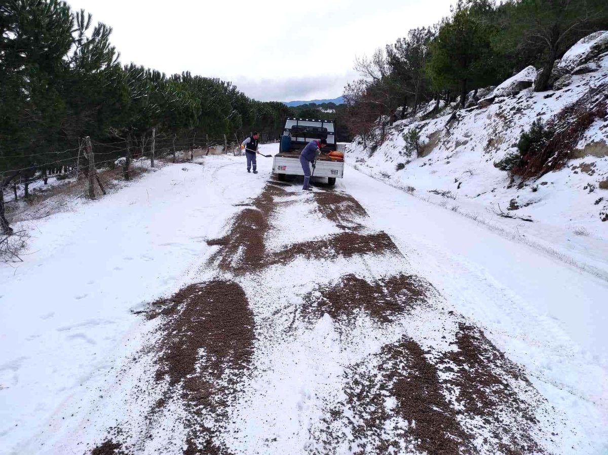 Burhaniye\'de kırsal yollar tuzlanıyor