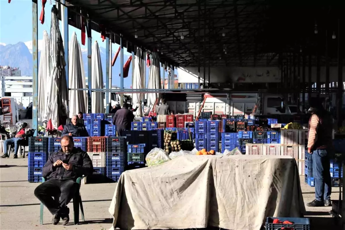 Dondurucu soğuklar sebebiyle Antalya haline gelen ürün yüzde 50 azaldı