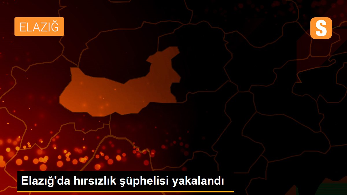 Elazığ\'da hırsızlık şüphelisi yakalandı