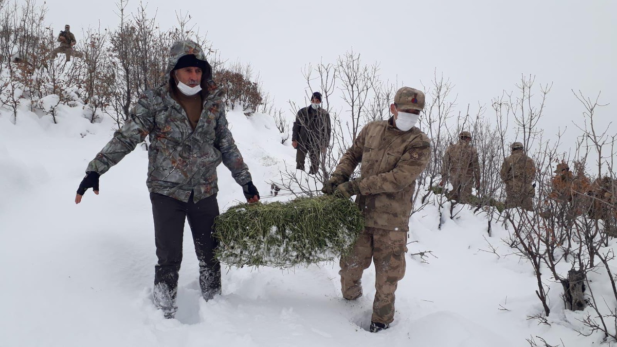Son dakika haberleri! Elazığ\'da jandarma sokak ve yaban hayvanları için doğaya yem bıraktı