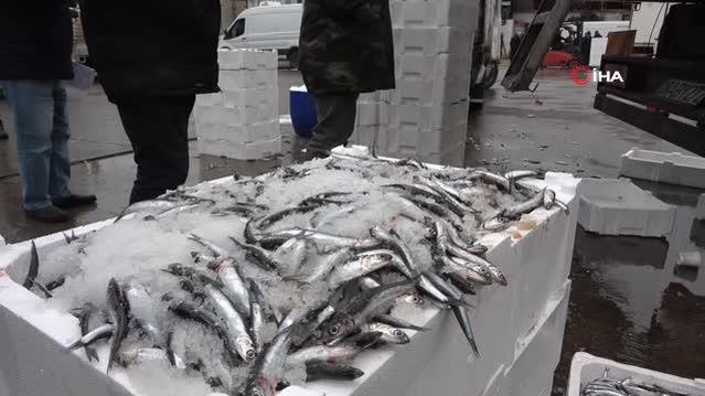 Karadeniz'de kar yağışı ve soğuklarla birlikte hamsi bereketi yaşanıyor