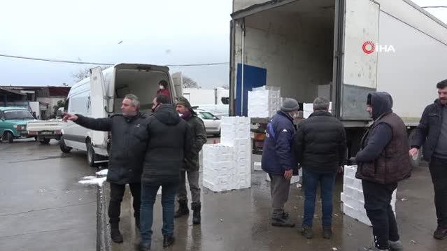 Karadeniz'de kar yağışı ve soğuklarla birlikte hamsi bereketi yaşanıyor
