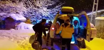 Son dakika haberi | Köyde mahsur kalan hamile kadının imdadına paletli ambulans yetişti