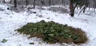 Ocak ayı içerisinde yaban hayvanları için doğaya 15 ton yem bırakıldı