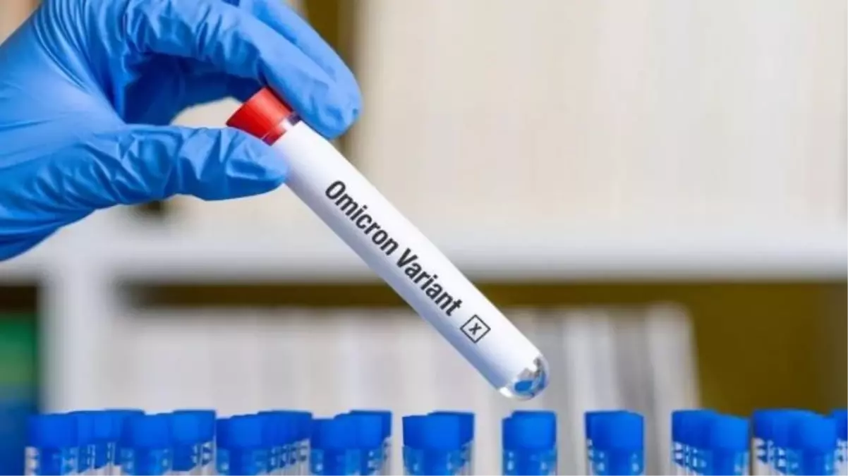 Omicron'dan daha hızlı yayılıyor! Yeni alt varyant BA.2 pandeminin seyrini nasıl etkileyecek?