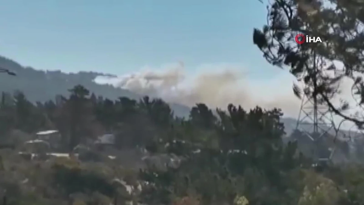 Şili\'de orman yangını nedeniyle kırmızı alarm verildi