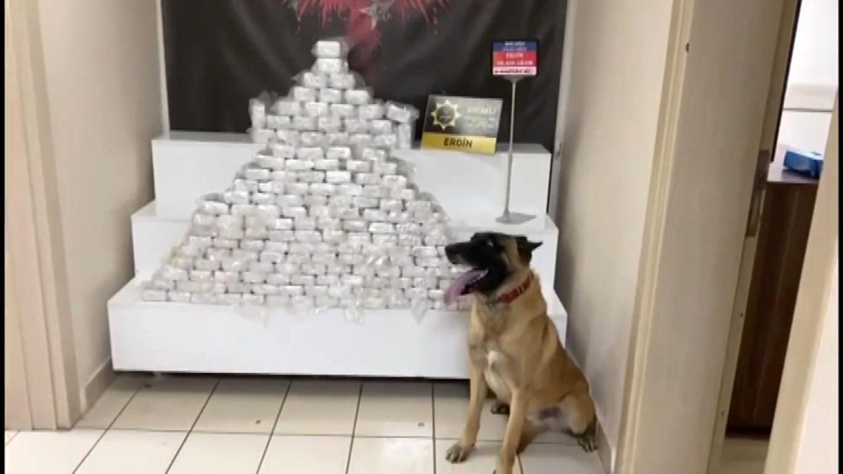 TEM'de yolcu otobüsünde 98 kilo uyuşturucu ele geçirildi