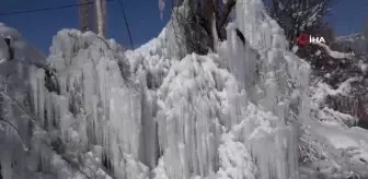 Uludere'de çeşme borusunun patlamasıyla buz sarkıtları oluştu