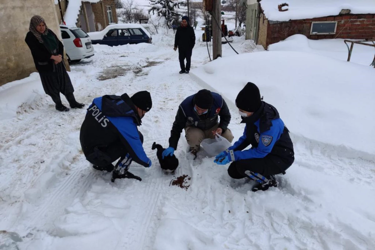 Son dakika haber... Elazığ\'da polis ekiplerinden sokak hayvanlarına yem ve mama desteği