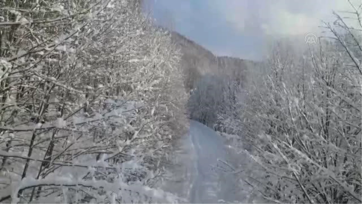 Karla kaplı Çam Dağı\'nın güzelliği havadan görüntülendi