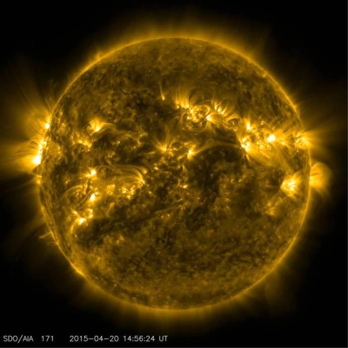 Musk: "Güneş, Dünya\'daki Yaşamı Bitirecek, Yüzde 10 Eminim"
