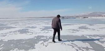 Son dakika haberleri | Nilüferleriyle ünlü Işıklı Gölü, kısmen buz tuttu