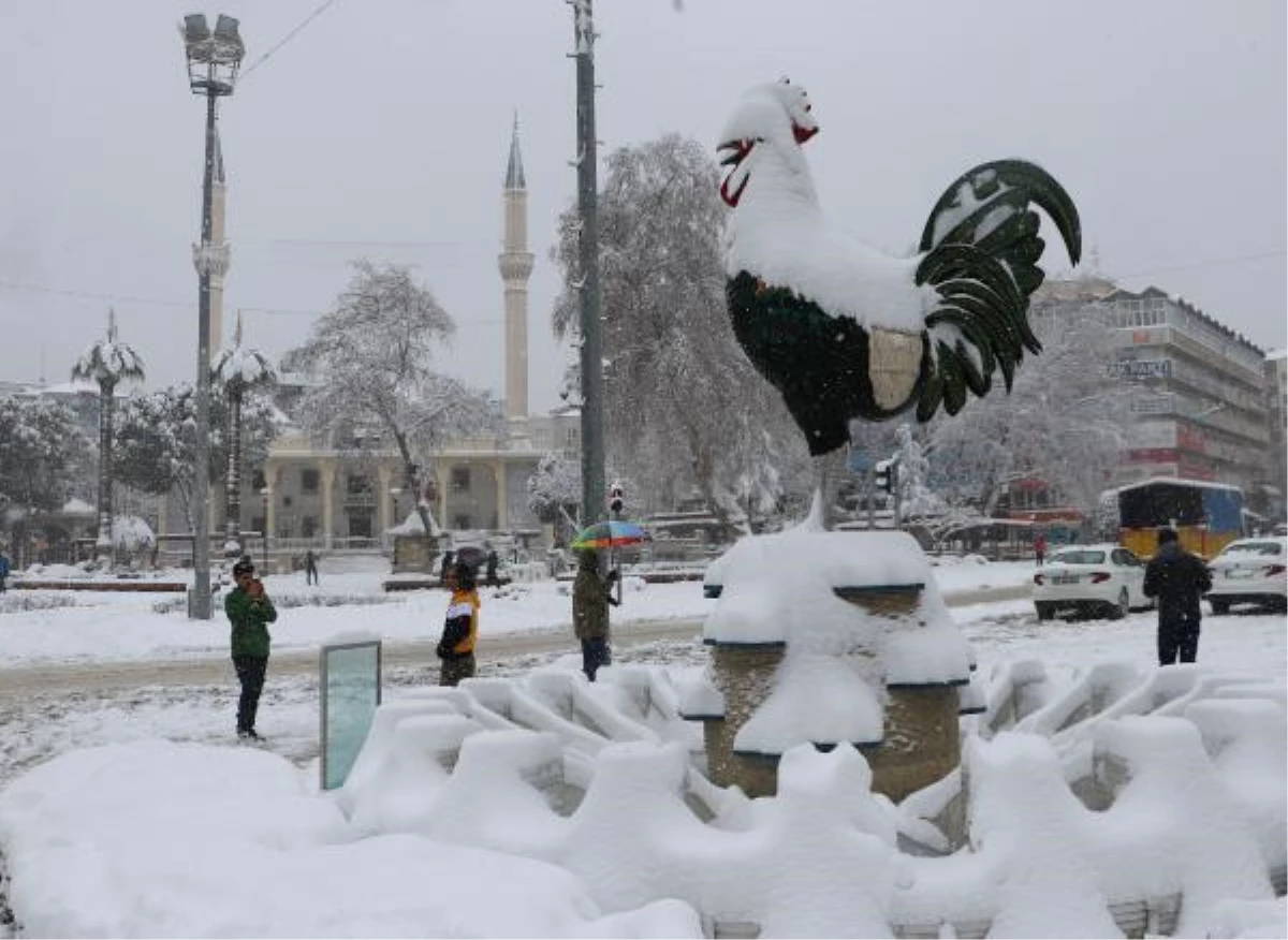 PAMUKKALE KARLA KAPLANDI