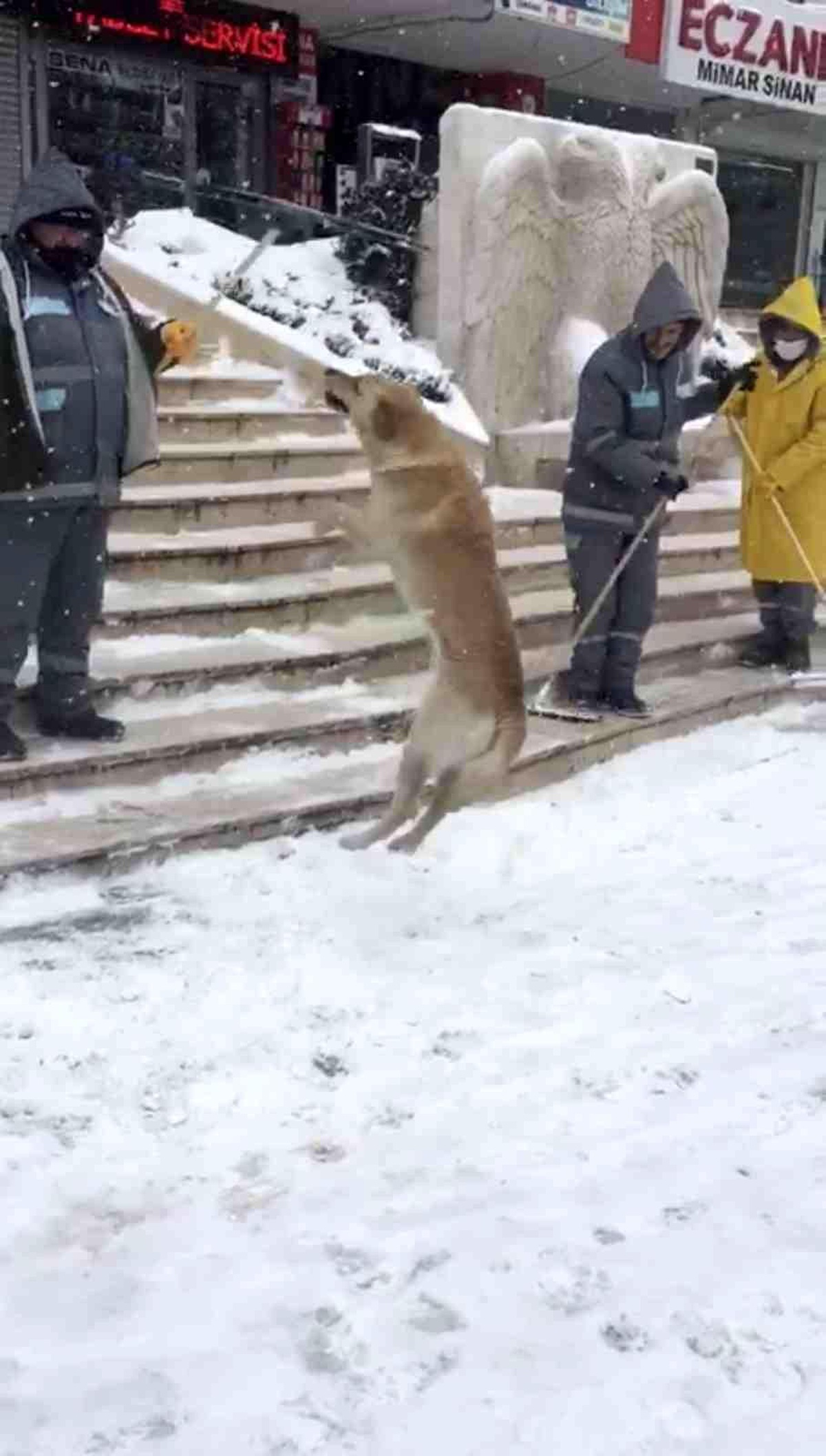 Temizlik görevlileri ile köpeğin oyunu yürekleri ısıttı